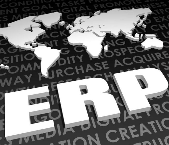 5 Challenges Organizations Face When Implementing ERPs-Alpide ERP