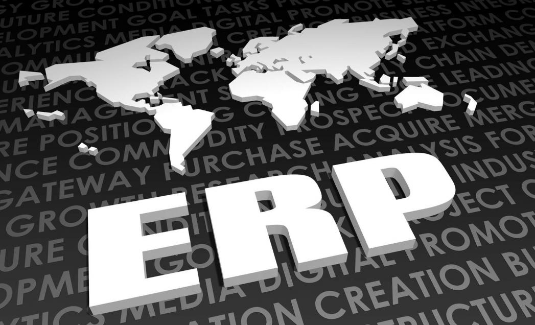 5 Challenges Organizations Face When Implementing ERPs-Alpide ERP