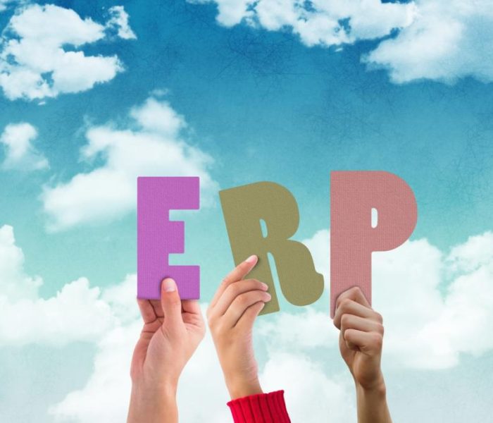 5 Ways to Maximize the Value of an ERP System-Alpide ERP
