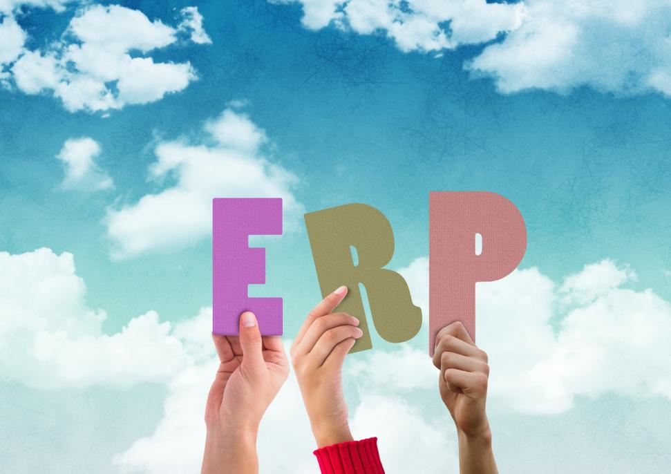 5 Ways to Maximize the Value of an ERP System-Alpide ERP