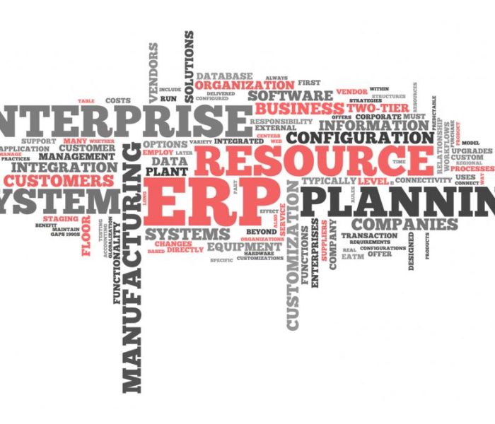Why Should You opt for a Cloud Based ERP System